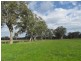 Lot 201 Wickham Hill Road, Kuitpo SA 5172