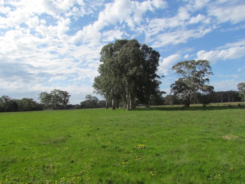 Lot 201 Wickham Hill Road, Kuitpo SA 5172