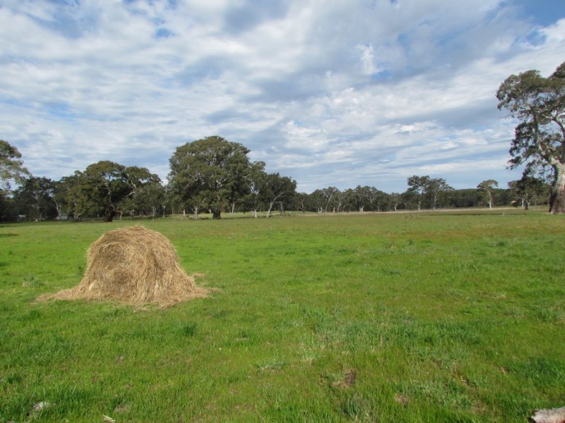 Lot 201 Wickham Hill Road, Kuitpo SA 5172