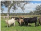 Lot 201 Wickham Hill Road, Kuitpo SA 5172
