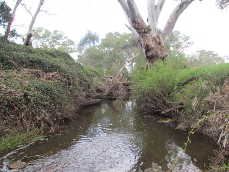 Lot 201 Wickham Hill Road, Kuitpo SA 5172