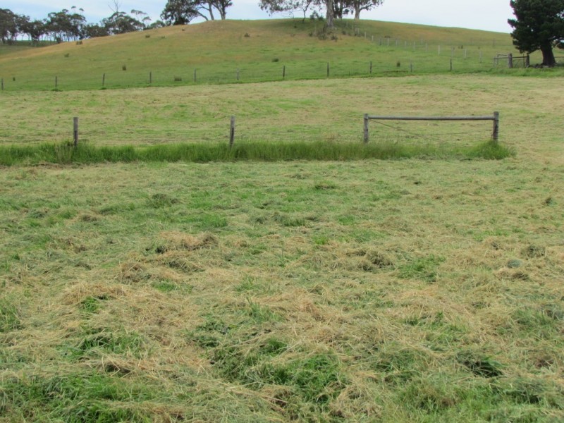 355 Morris Road, Prospect Hill SA 5201