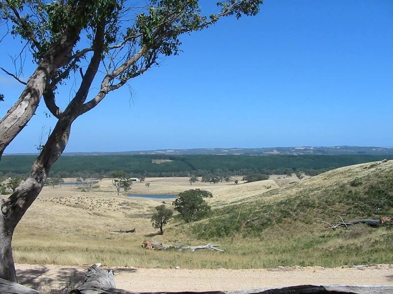 Lt 51 Milligan Road, Prospect Hill SA 5201