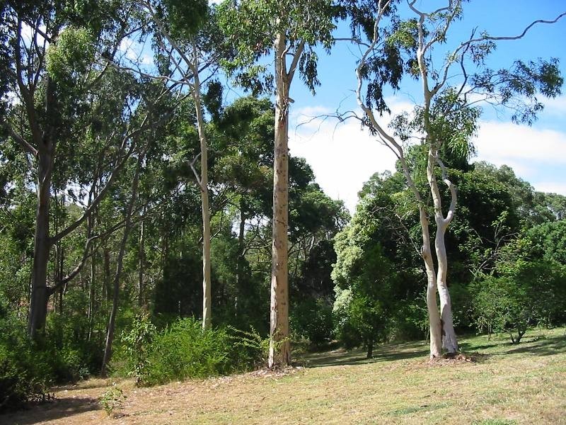 Lt 51 Milligan Road, Prospect Hill SA 5201