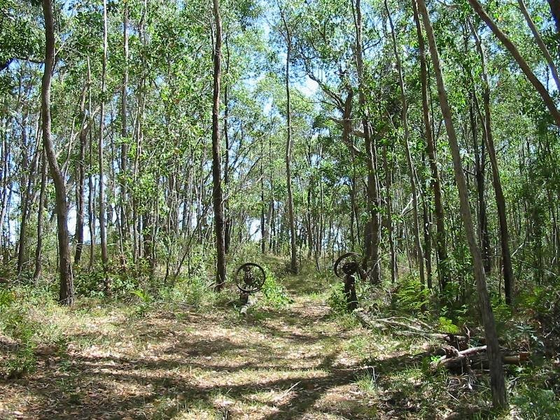 Lt 51 Milligan Road, Prospect Hill SA 5201