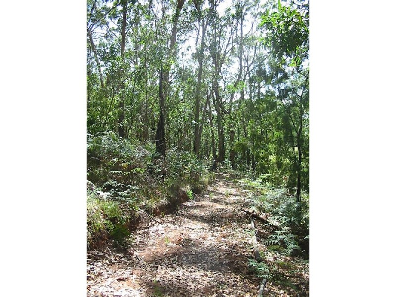 Lt 51 Milligan Road, Prospect Hill SA 5201