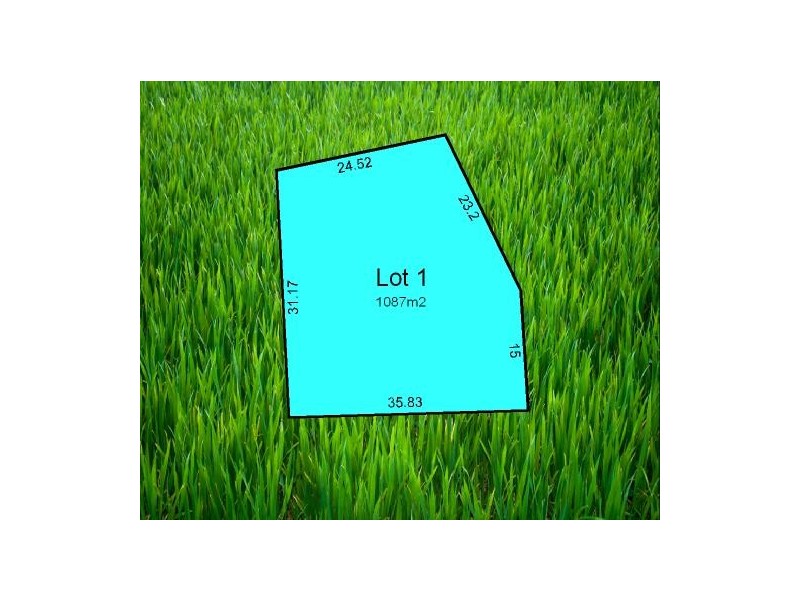 Lot 1 Catt Court, Meadows SA 5201