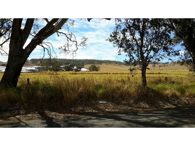 Lot 1 Catt Court, Meadows SA 5201