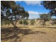 Lot 1 Blackmore Road, Strathalbyn SA 5255