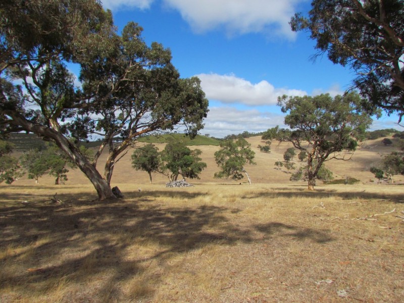Lot 1 Blackmore Road, Strathalbyn SA 5255