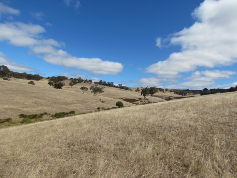 Lot 1 Blackmore Road, Strathalbyn SA 5255