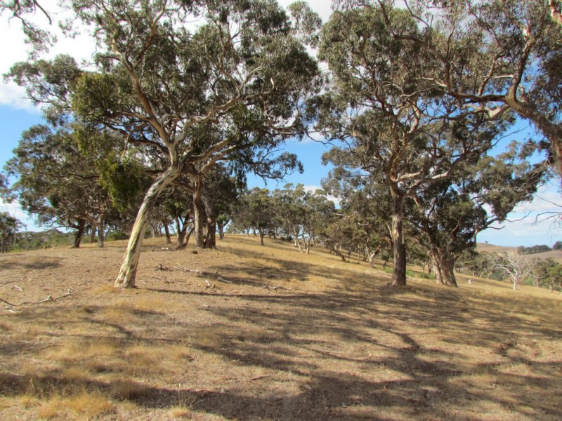Lot 1 Blackmore Road, Strathalbyn SA 5255