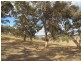 Lot 1 Blackmore Road, Strathalbyn SA 5255