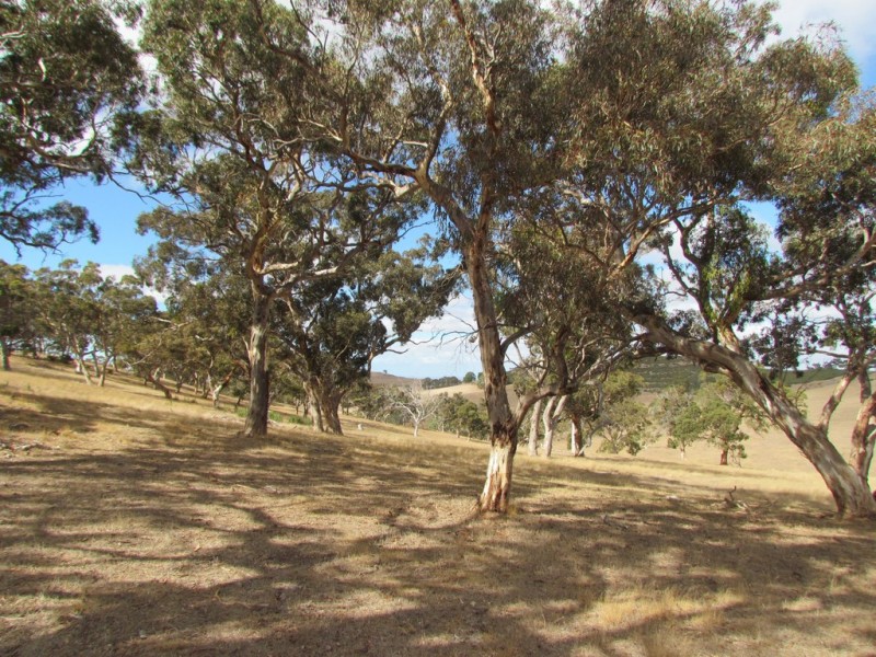 Lot 1 Blackmore Road, Strathalbyn SA 5255