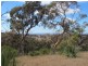 Lot 1 Blackmore Road, Strathalbyn SA 5255