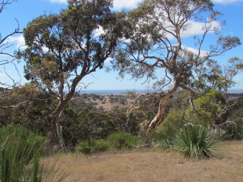 Lot 1 Blackmore Road, Strathalbyn SA 5255