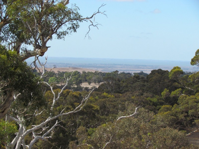 Lot 1 Blackmore Road, Strathalbyn SA 5255