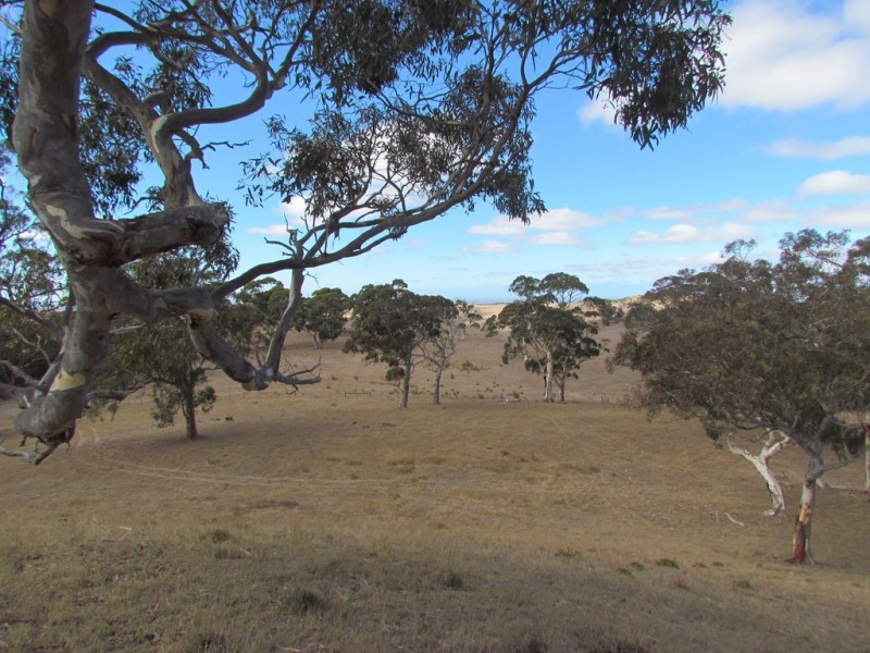 Lot 1 Blackmore Road, Strathalbyn SA 5255