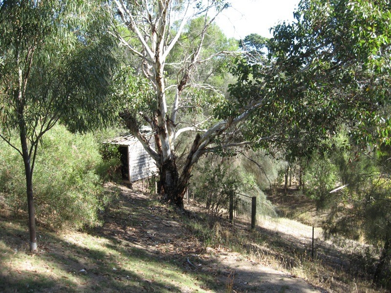 20 Luck Street, Macclesfield SA 5153