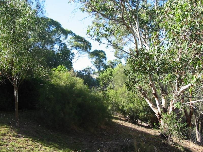 20 Luck Street, Macclesfield SA 5153