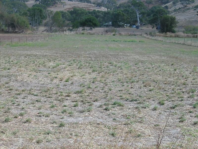 Lot 4 Bulls Creek Road, Ashbourne SA 5157