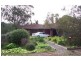 51 Pine Drive, Aberfoyle Park SA 5159