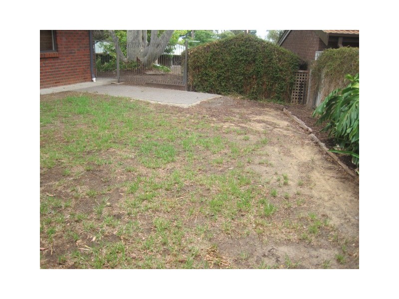 51 Pine Drive, Aberfoyle Park SA 5159