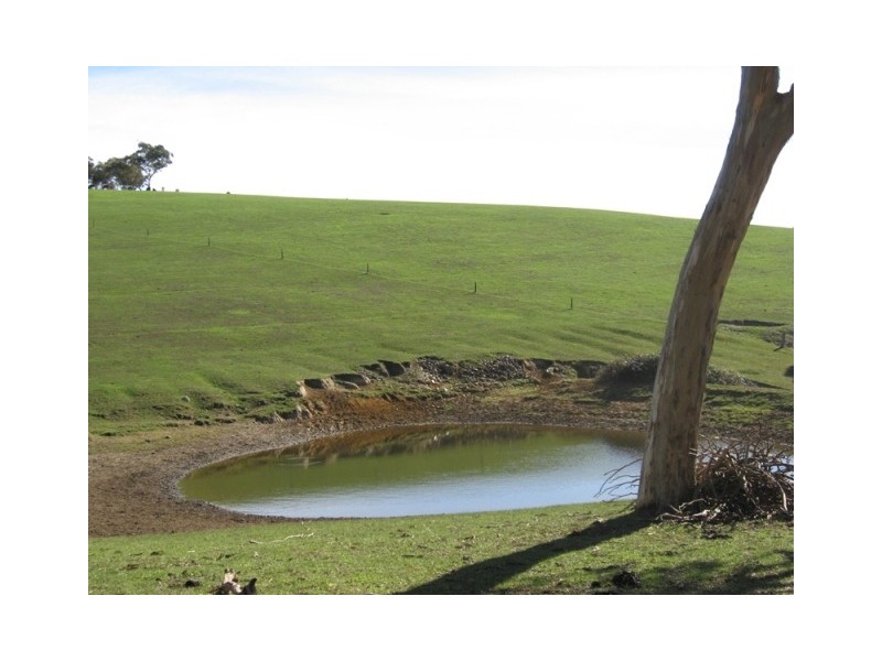 Lot 114 Old Bull Creek Road, Paris Creek SA 5201