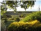 Lot 114 Old Bull Creek Road, Paris Creek SA 5201