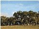 Lot 114 Old Bull Creek Road, Paris Creek SA 5201