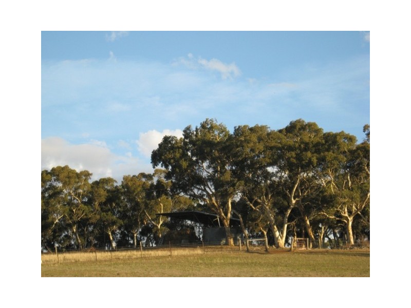 Lot 114 Old Bull Creek Road, Paris Creek SA 5201