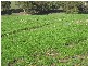 Lot 114 Old Bull Creek Road, Paris Creek SA 5201