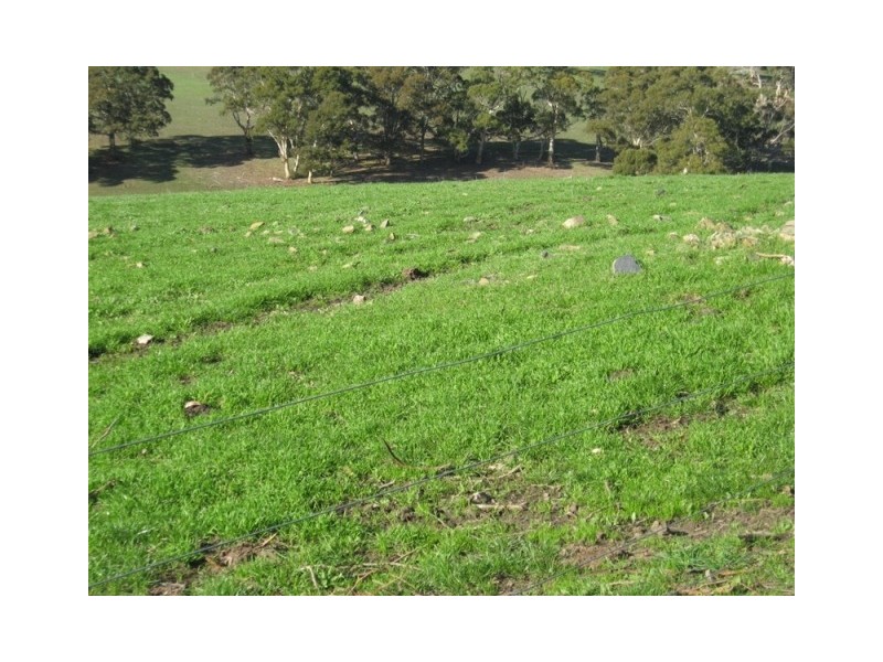 Lot 114 Old Bull Creek Road, Paris Creek SA 5201