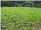 Lot 114 Old Bull Creek Road, Paris Creek SA 5201