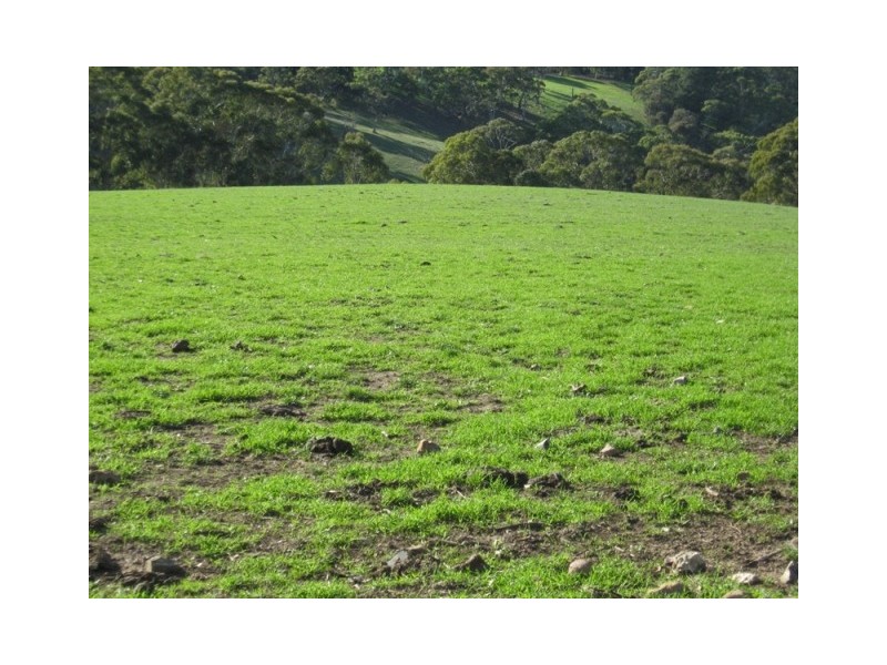 Lot 114 Old Bull Creek Road, Paris Creek SA 5201