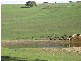 Lot 114 Old Bull Creek Road, Paris Creek SA 5201