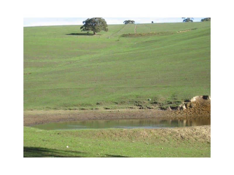 Lot 114 Old Bull Creek Road, Paris Creek SA 5201