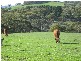 Lot 114 Old Bull Creek Road, Paris Creek SA 5201