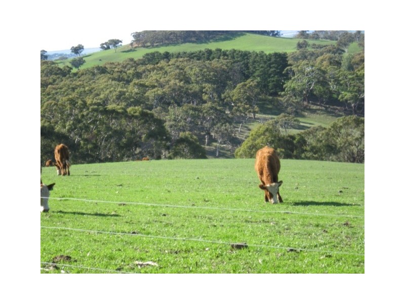 Lot 114 Old Bull Creek Road, Paris Creek SA 5201