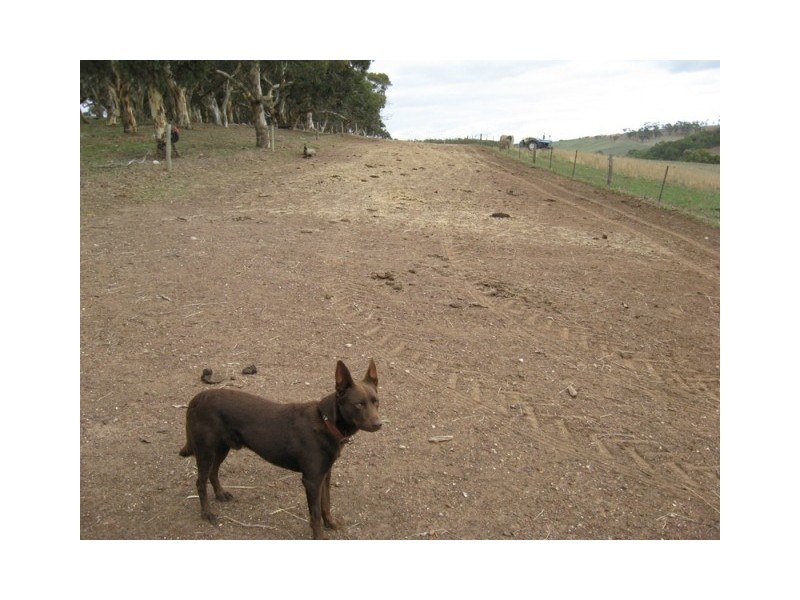 Lot 114 Old Bull Creek Road, Paris Creek SA 5201