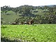 Lot 114 Old Bull Creek Road, Paris Creek SA 5201