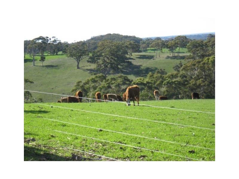 Lot 114 Old Bull Creek Road, Paris Creek SA 5201