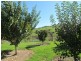 414 Goolwa Road, Bull Creek SA 5157