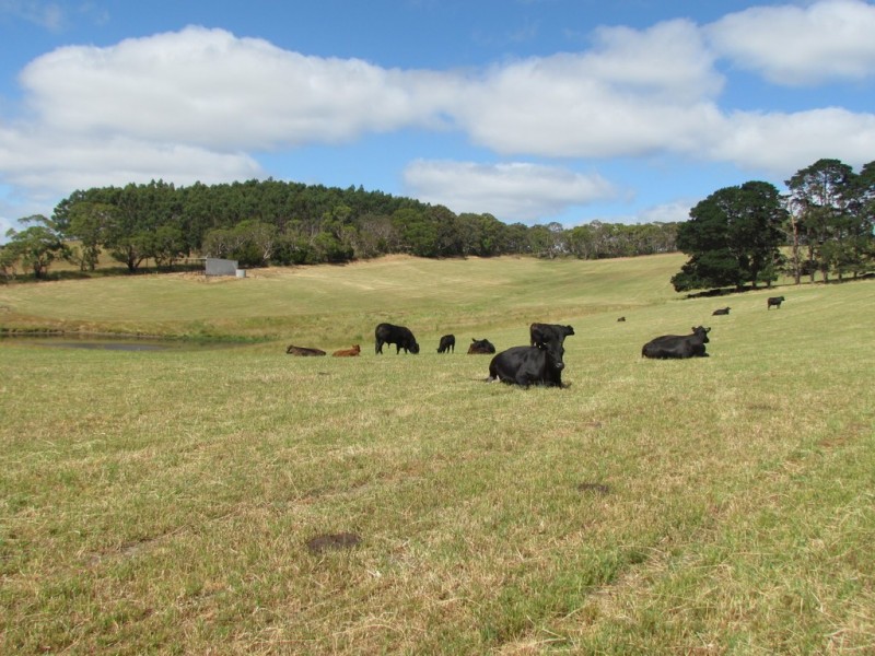 86 Vivian Road, Meadows SA 5201