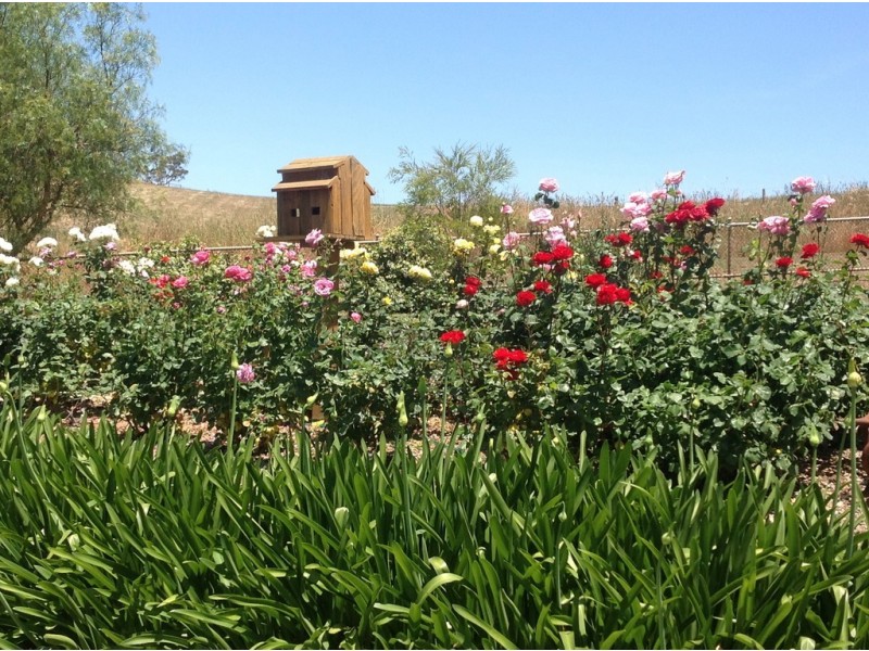 86 Vivian Road, Meadows SA 5201