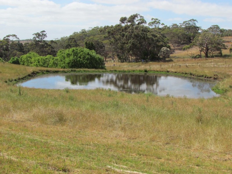 86 Vivian Road, Meadows SA 5201