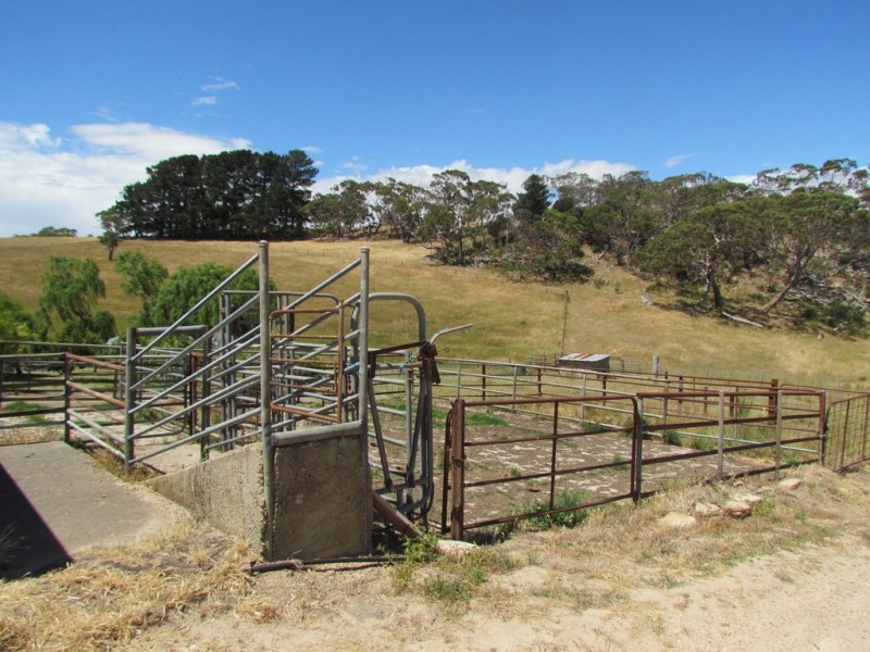 86 Vivian Road, Meadows SA 5201