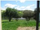 209 Macclesfield Road, Meadows SA 5201