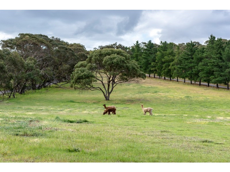 174 Twentyeight Road, Mclaren Vale SA 5171