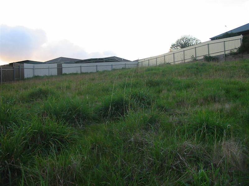 Lot 41 Michelmore Drive, Meadows SA 5201